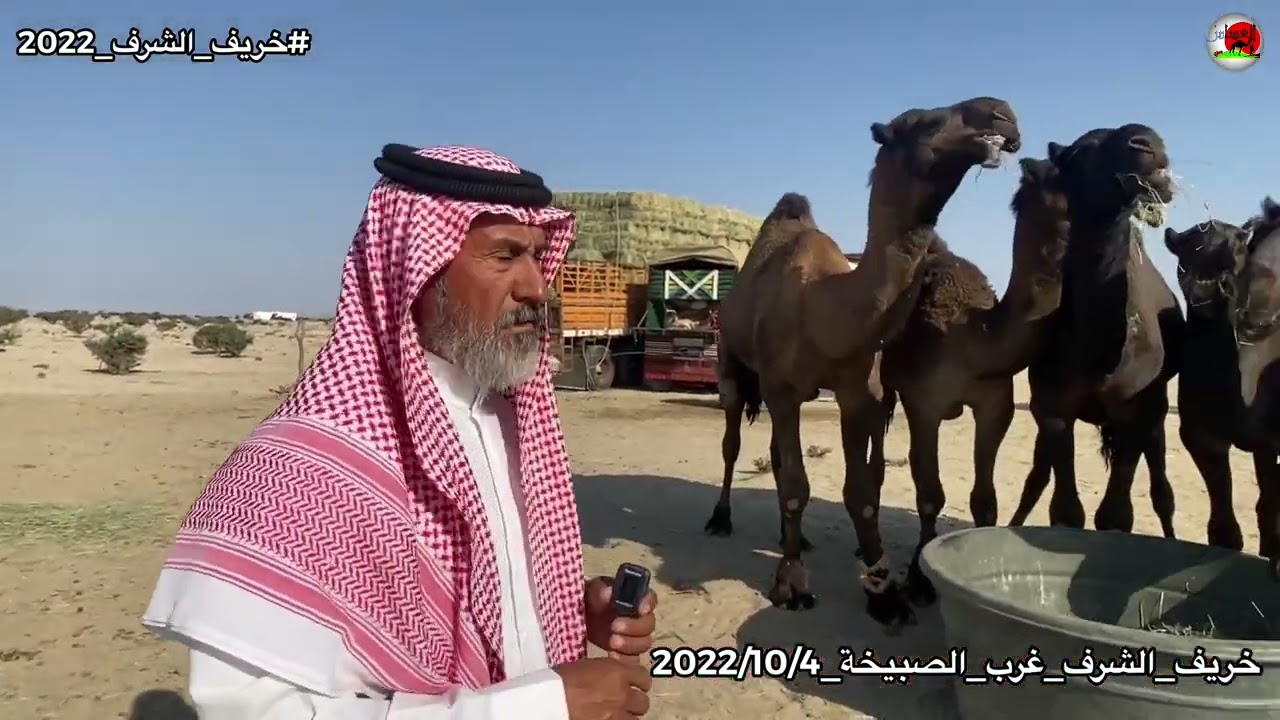 العساس_الشرف_سعيد بن رخيمان
