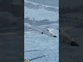 #f5 #aviation #dcsworld #pc #pcgaming #shorts #gaming #youtubeshorts #dcsworld #military