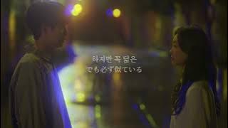 【和訳】우리가 헤어져야 했던 이유(Maybe If) ー 비비(BIBI)【その年、私たちはOST】