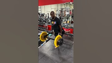 The Most BRUTAL Landmine Back and Glutes Exercise Ever!! Purmotion Split Stance RDL and Row