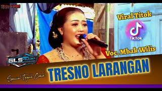 Tresno Larangan Tayub Cokek Candra Kiranagasta Ponorogovoc Wiliss