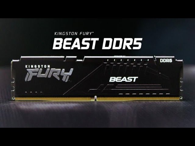 最大速度 5200MHz の DDR5 メモリ – Kingston FURY Beast DDR5