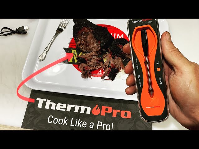 ThermoPro TempSpike  Can the ThermoPro TempSpike do what the others  couldn't? Find out!!! 