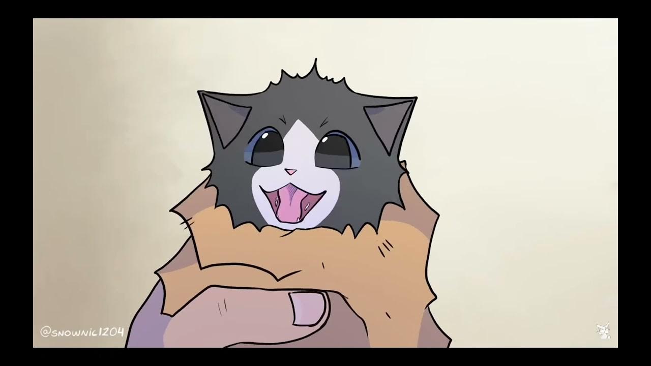 котик - YouTube