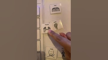 Point of view- Video Model