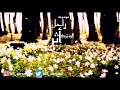 لا يمكن أن يبقى الإنسان على نفس الحال الدكتور احمد الشقيري لا يمكن أن يبقى الإنسان على نفس الحال الدكتور احمد الشقيري
