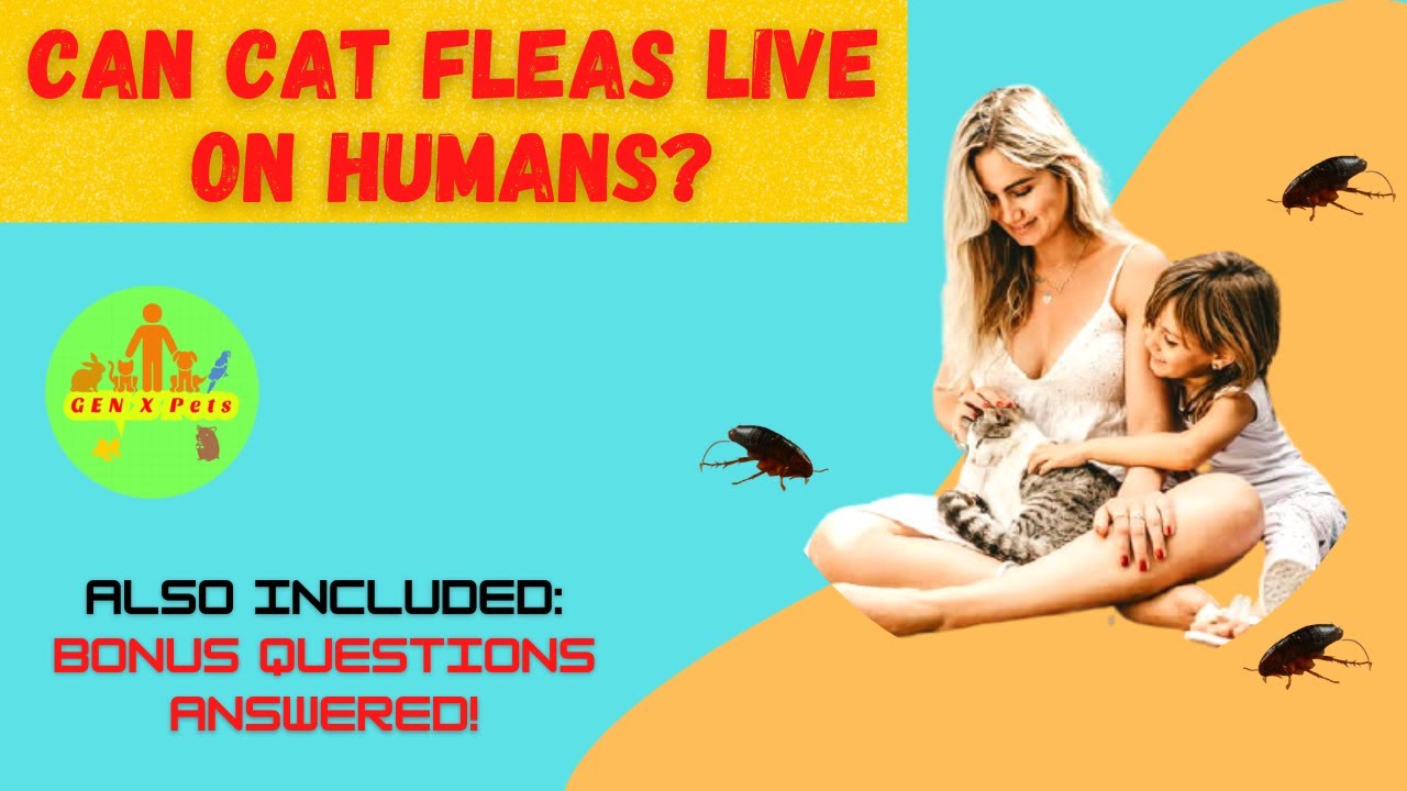 Can Cat fleas live on humans? Can cat fleas live on dogs? Are cat