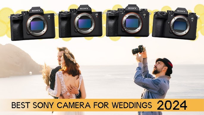 Best Cameras For Photographers