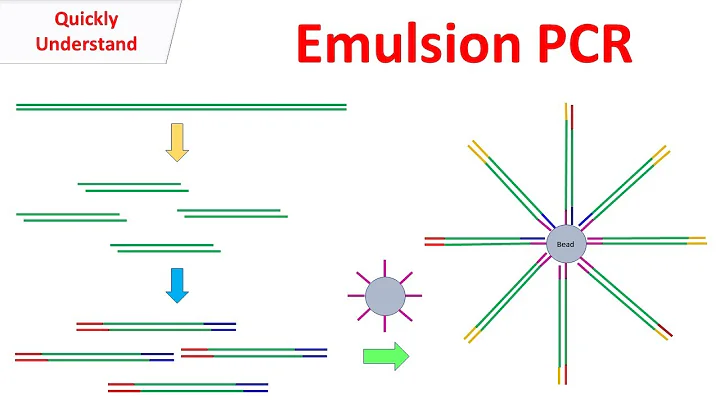 Emulsion PCR