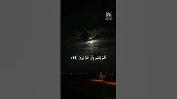 آيات من سورة العلق بصوت الشيخ "راشد الأركاني" #الحمدلله