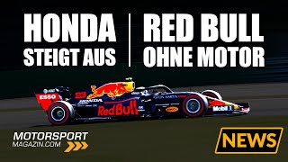 Honda-Schock! Steigt auch Red Bull aus der Formel 1 aus?