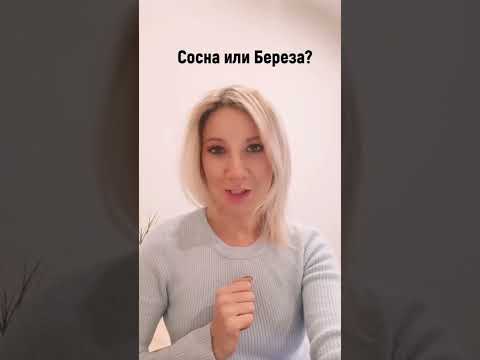 Чем отличается сосна