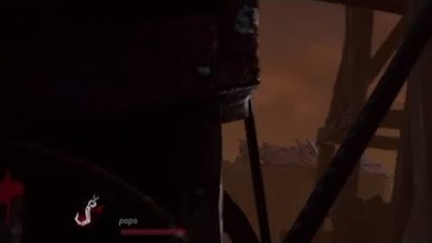 So, I ran into a Hacker in DBD.