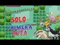 ¿Es Posible Completar Pokémon Esmeralda Con Solo Pokémon  De La Primera  Ruta ?