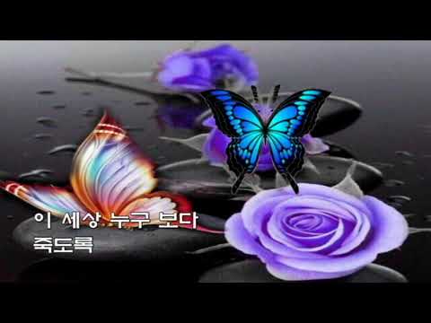 Watch 염수연  🌷순정의 여인🌷(가사) on YouTube