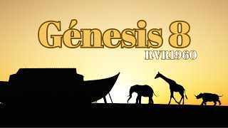 Génesis Capitulo 8: El Mundo Después Del Diluvio [Biblia Hablada]