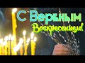 Красивое Поздравление на Вербное Воскресение! Песня для вас! С Праздником!Желаю добра и счастья!