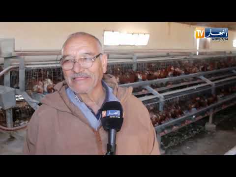 فيديو: هل دعم الدجاج المدارس الممزقة؟