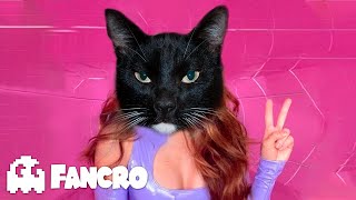 Shakira, Rauw Alejandro - Te Felicito (Cover Gatuno) by Fancro 8,447 views 1 year ago 2 minutes, 20 seconds