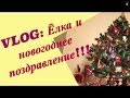 VLOG: ЁЛКА и новогоднее ПОЗДРАВЛЕНИЕ!