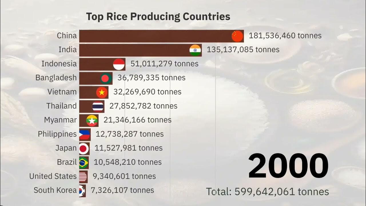 Top Rice Producing Countries in the World (19612021) YouTube