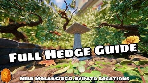 Full Hedge Guide(Milk Molars/SCA.B/Data Locations) Grounded 1.05 Update