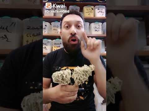 فوائد كف مريم لتكيس المبايض