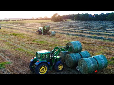 Making Hay in