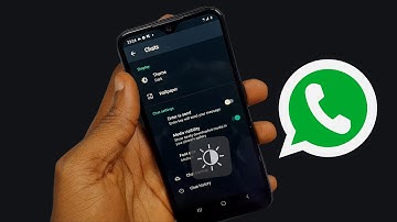 How to activate dark mode on WhatsApp - Android and IOS