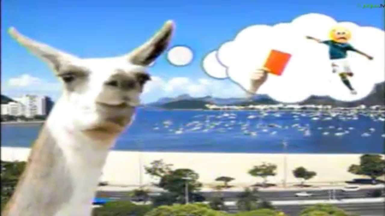 Steve The Llama Commercial