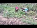 QUEENDOM FARM UPDATE FOR FEBRUARY 2025 NO RAIN FOR MONTHS HOWEVER WE KEEP PUSHING FORWARD QUEENDOM FARM UPDATE FOR FEBRUARY 2025 NO RAIN FOR MONTHS HOWEVER WE KEEP PUSHING FORWARD