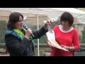 LITOMERICE: otevren´ych dver´i hospici