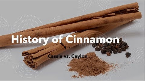 A Brief Fascinating History of Cinnamon | Cassia vs. Ceylon