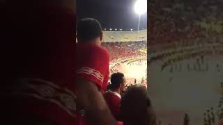 الاقصر بلدنا بلد سواح فيها الزمالك يتفسح 🤣🤣