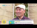 Зейнеткерлер бақшасында 40 түрлі көкөніс өсіреді