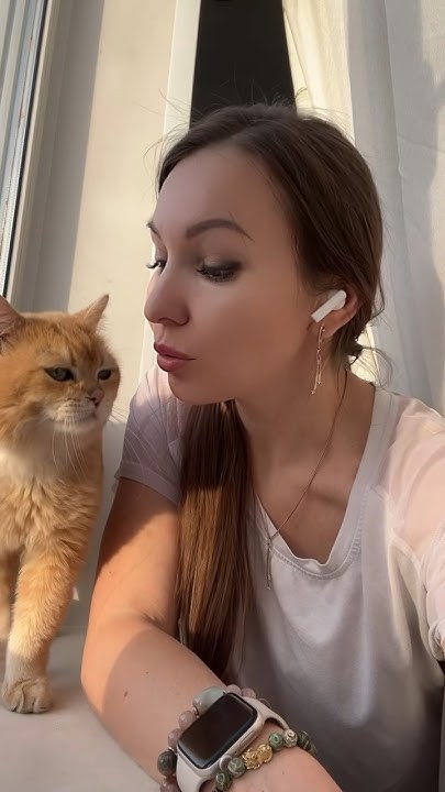 Маленький миленький #кот #котики - YouTube