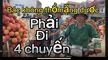 Vải Thiều Lục ngạn Bắc Giang cập Nhật giá ngày 14/6/2023.tại yên nghĩa, Lục ngạn,BG