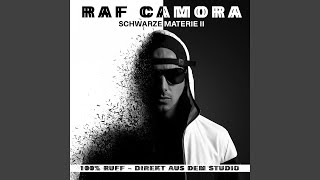 Video thumbnail of "RAF Camora - Brief (Instrumental)"