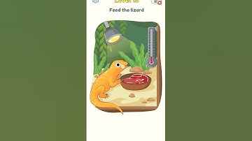 Feed the lizard dop 3 level 13 #shortsvideo