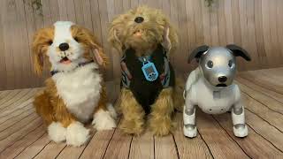 Robotic Therapy Dog: Joy for All Freckled Pup Moji the Lovable Labradoodle Aibo ERS 1000 comparison