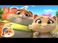 44 cats  60 min  top 10 cutest full episodes 