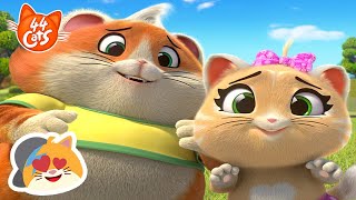 44 Cats | 60 MIN | TOP 10 cutest full episodes 🧸️💟 by Rainbow Junior - English 42,736 views 4 days ago 1 hour, 4 minutes