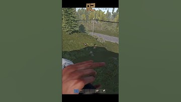 я люблю RUST/РАСТ #rust #мем #memes #shorts