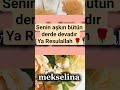 Senin aşkın bütün derde devadır Ya Resulallah 🌹🌷 (ŞİFA) ||mekselina