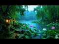 One hour Gentle Rain, Rain Sounds for Sleeping - Lotus Lake Screen to Beat insomnia, Relax, Study