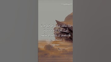 آيات من سورة البقرة #قرآن #qouran_karim #قران_كريم #القرآن_الكريم  #coran #دعاء #القرآن #إبتسم