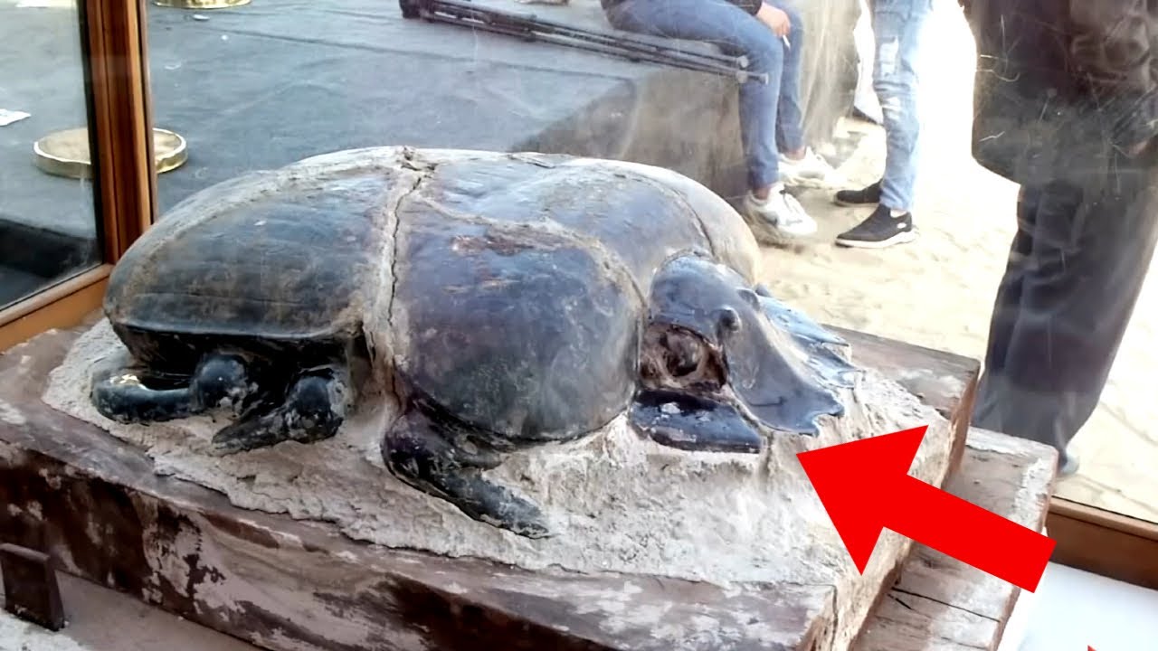 SCARABEUL URIAS A UIMIT ARHEOLOGII! CELE MAI UIMITOARE DESCOPERIRI DIN ...