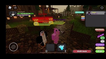 Roblox dungeon quest trading Part  4 [ Noob To Pro]