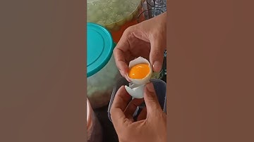 Thumbnail of STMJ ( susu telor madu Jahe )