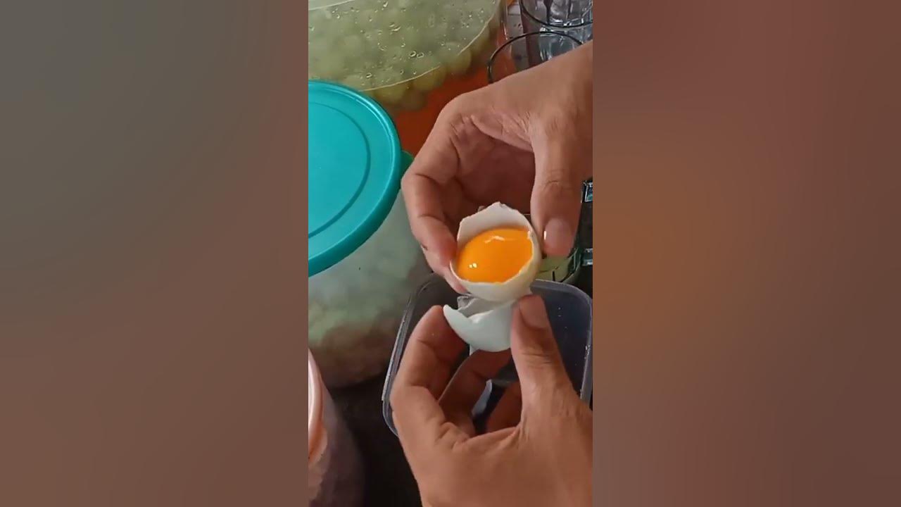 STMJ ( susu telor madu Jahe )